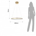 Modern Lamps "Ring Gold"